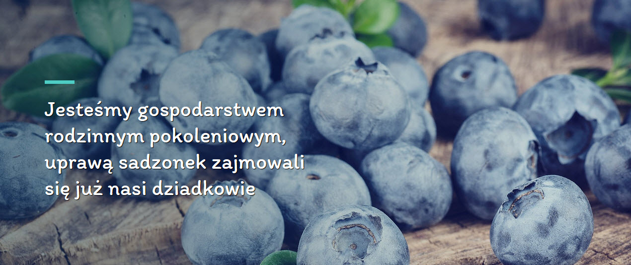 sadzonki drzewa owocowe, sadzonki krzewy ozdobne, sadzonki krzewów owocowych